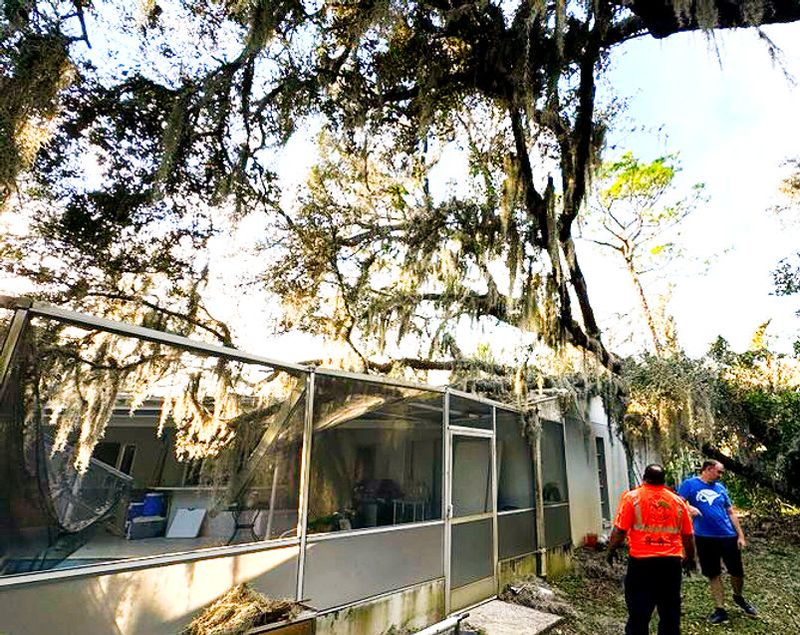 You Need A Certified Arborist Or Licensed Landscape Architect