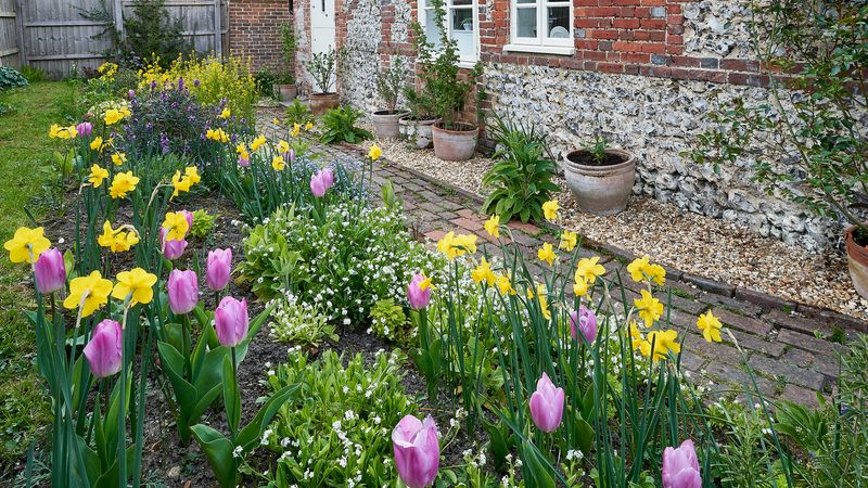 You Should Plant Spring Bulbs Right Now
