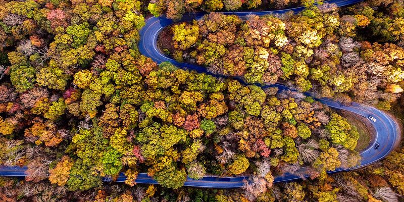 You Should Time These Scenic Ozark Drives For Peak Color You Should Time These Scenic Ozark Drives For Peak Color