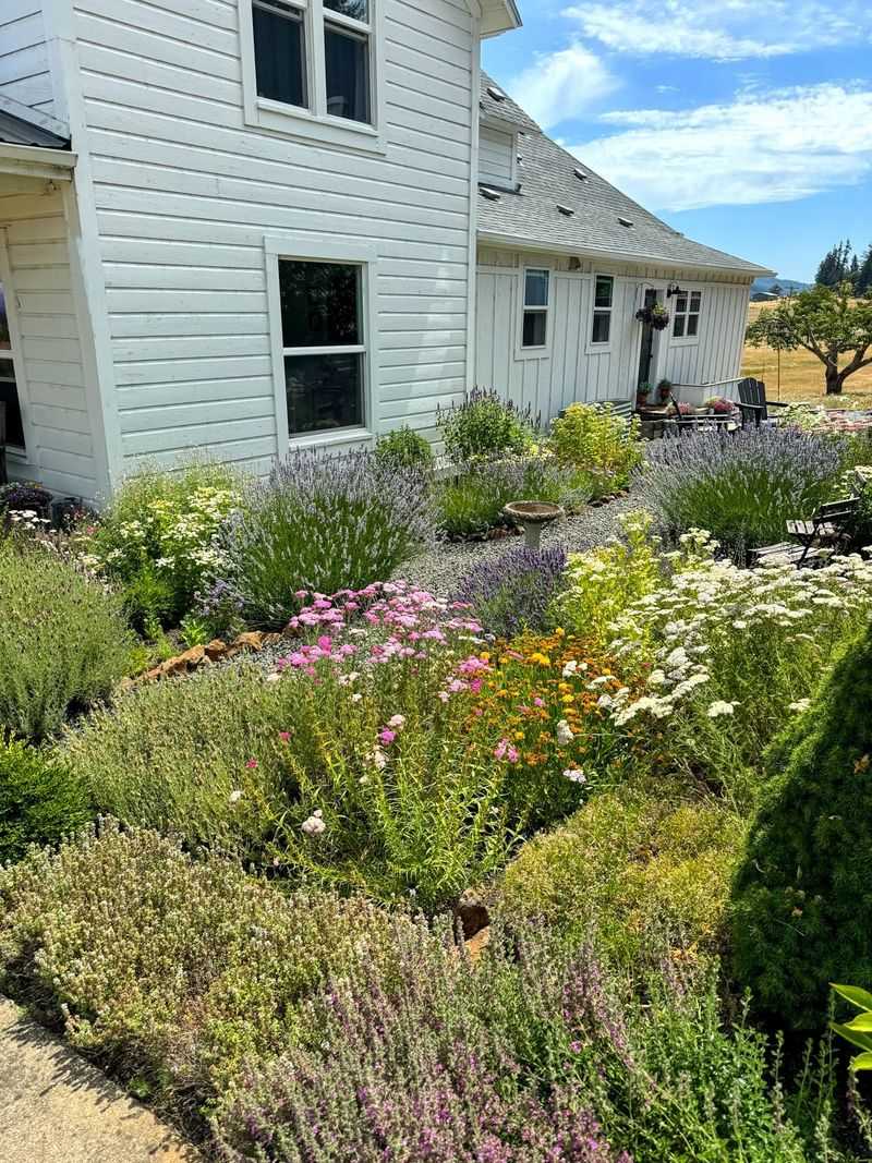 You Will Love Herbs Mixed With Blooms