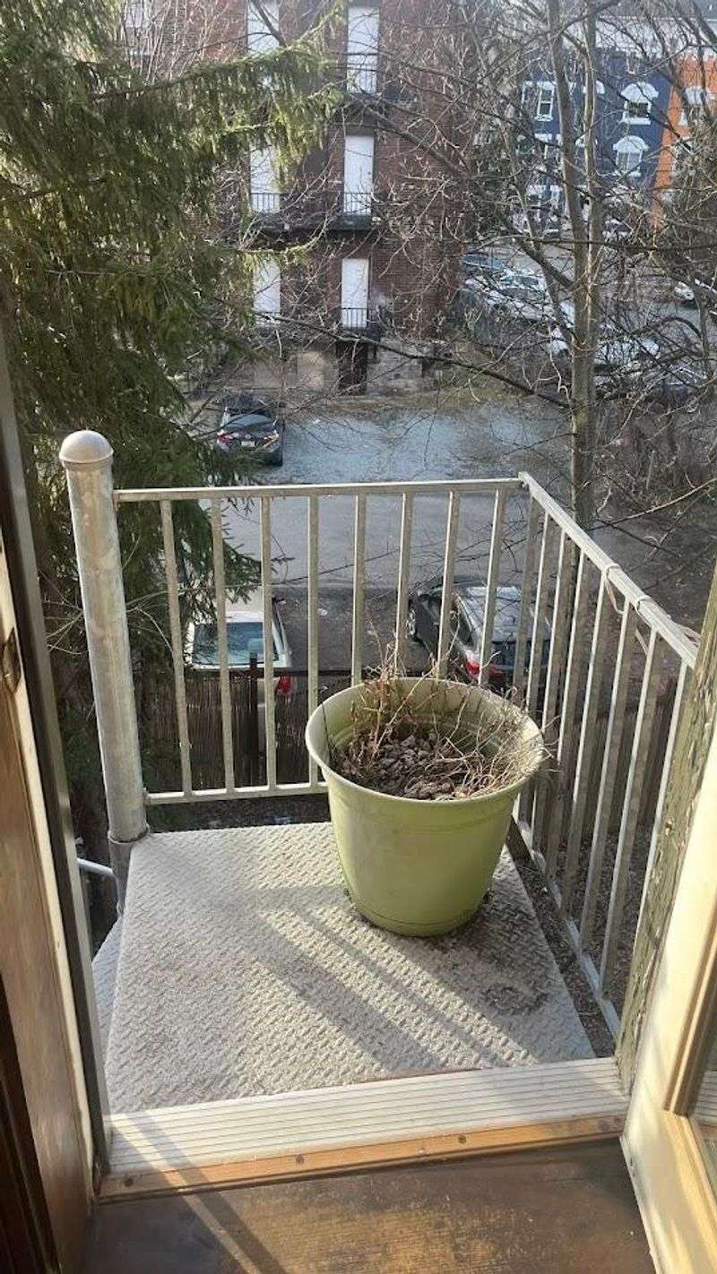 Your Building Could Get The Violation Your Building Could Get The Violation