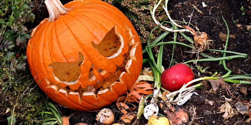 Your Compost Pile Is Hungry For That Old Jack-O-Lantern Your Compost Pile Is Hungry For That Old Jack-O-Lantern