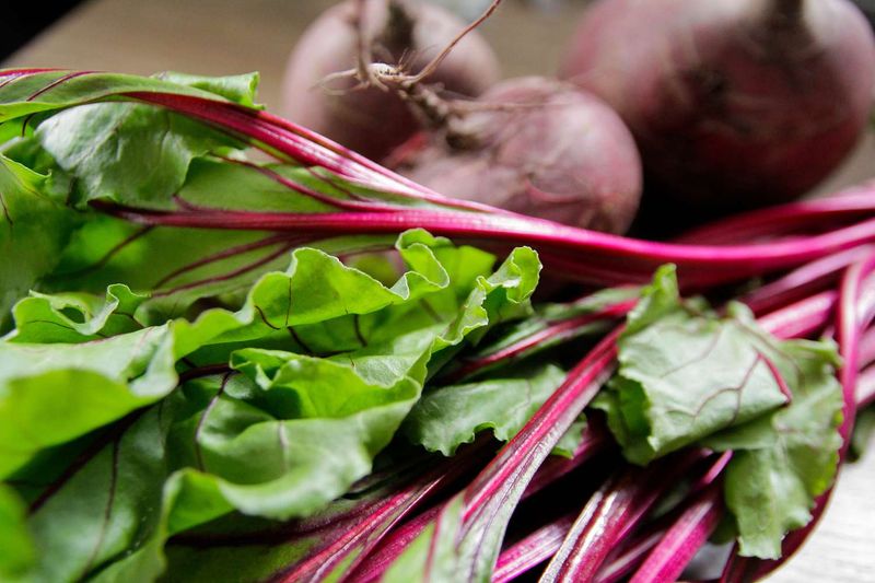 Your Freshest Leaves Start With Smart Storage
