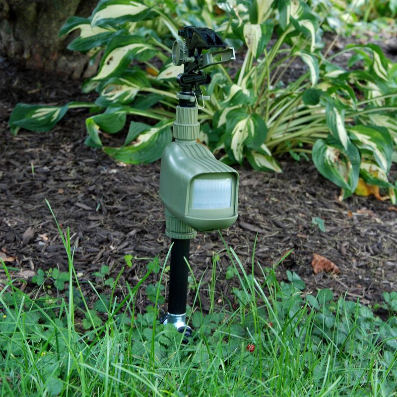 Your Garden Beds Need A Surprise Splash Of Water Your Garden Beds Need A Surprise Splash Of Water