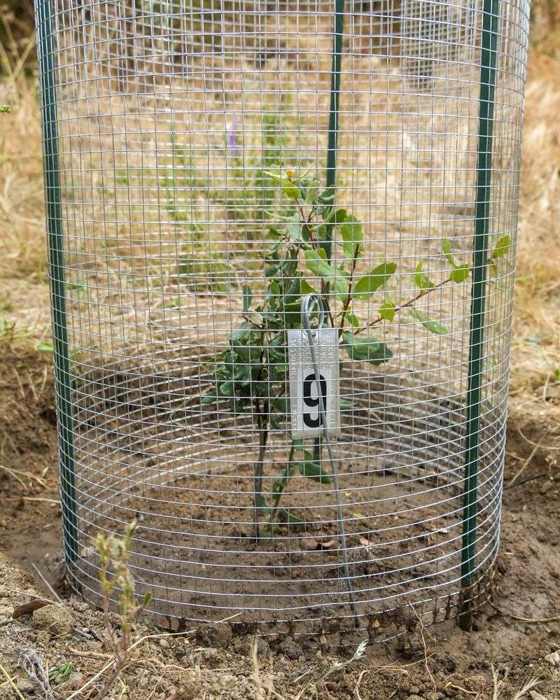Your Garden Can Welcome Next Year's Seedlings With Care