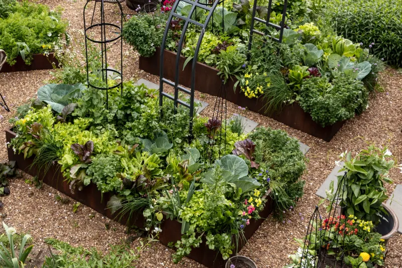 Your Garden Notebook Matters More Than Any Seed Catalog