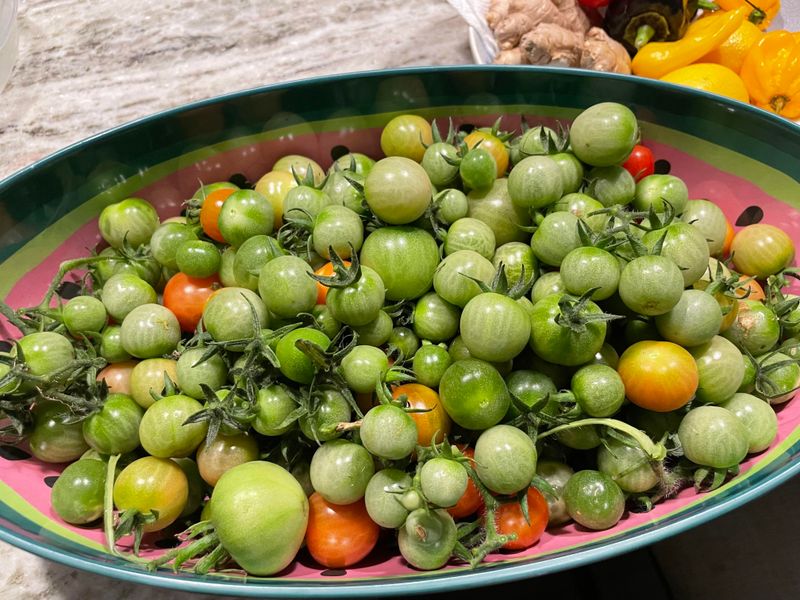 Your Green Tomatoes Hold A Hidden Ripening Clock