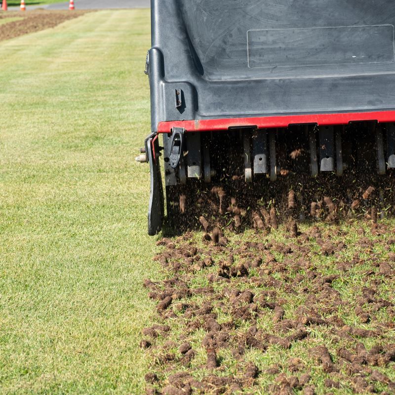 Your Lawn Habits Might Be Part Of The Problem