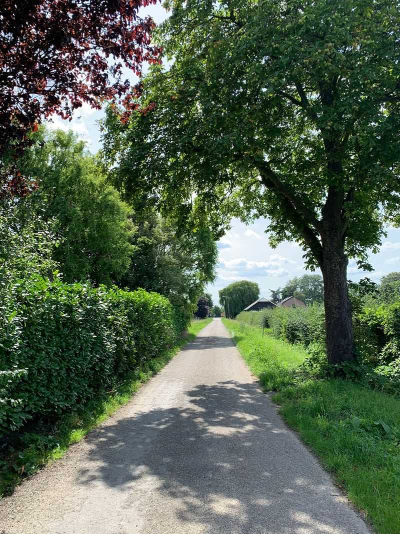 Your Next Country Drive Past A Hedge Row Will Feel Different