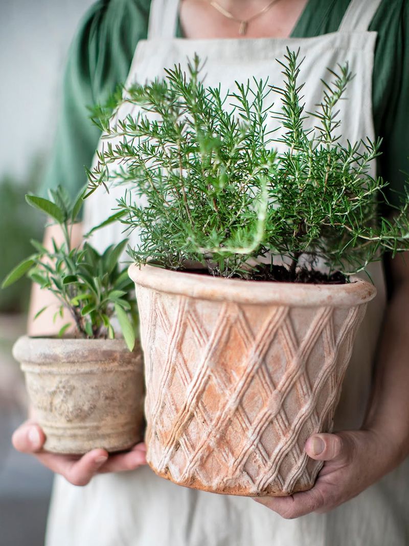 Your Pot Choice Makes A Bigger Difference Than You Expect