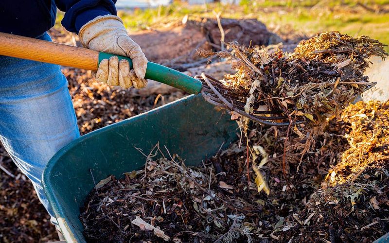 Your Soil Will Thank You For Fall Mulch