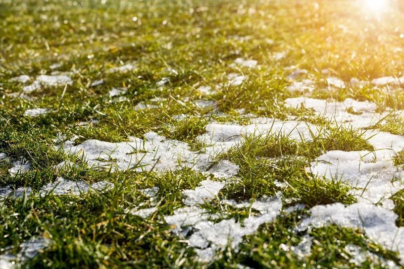 Your Spring Lawn Will Thank You For This Effort
