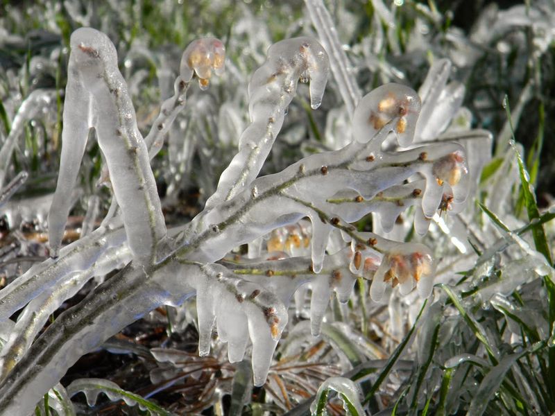 Your Sprinklers Must Run Until The Ice Melts