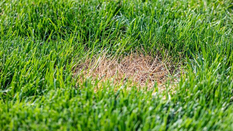 Your Thin Spots Still Have Time To Recover Your Thin Spots Still Have Time To Recover
