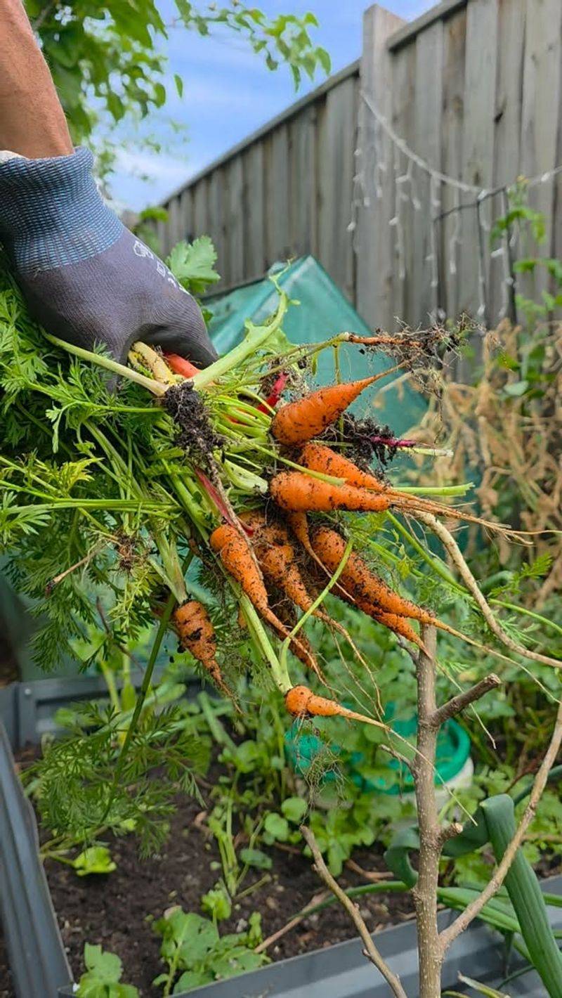 Your Veggies Carry Their Own Built-In Antifreeze