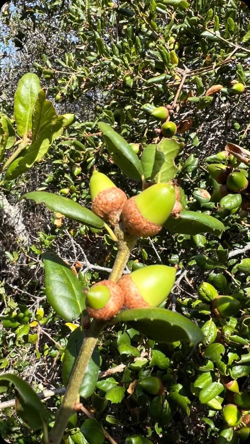 Your Whole Street Can Share A Bumper Crop Year