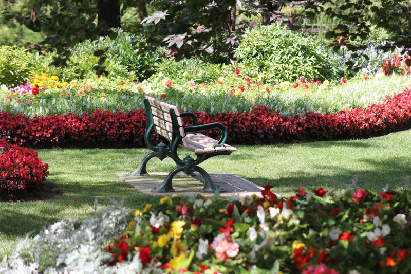 Your Yard Can Become A Reliable Rest Stop