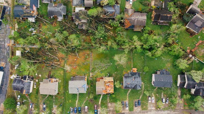 Your Yard Deserves A Calmer Hurricane Season Next Year Your Yard Deserves A Calmer Hurricane Season Next Year