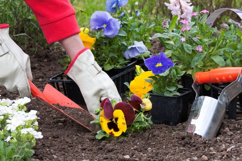 Your Zone Sets The Right Planting Month