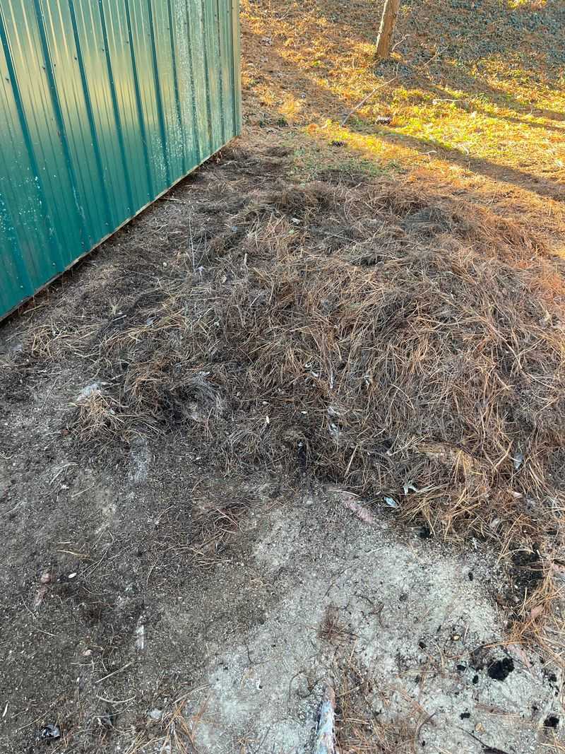 Zone 1 Calls For Clearing Dry Leaves And Needles