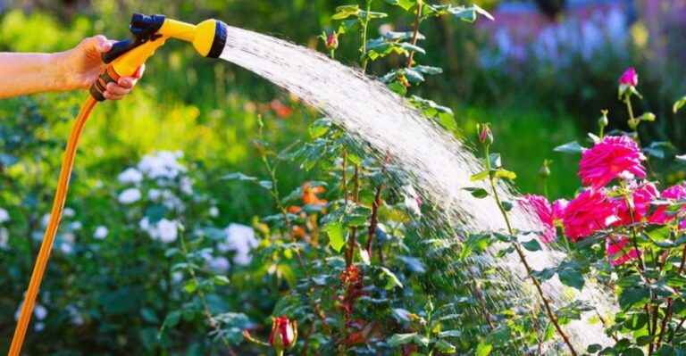 Can You Be Fined For Overwatering Your Yard In California?