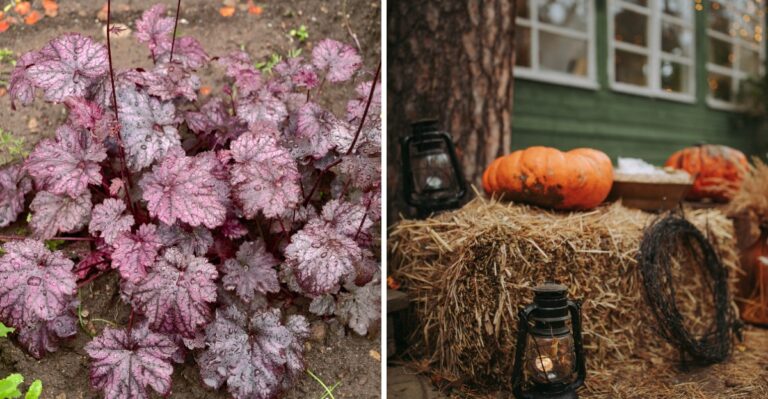 8 Fall Porch Decor Ideas That Hold Up Through A Pennsylvania Frost