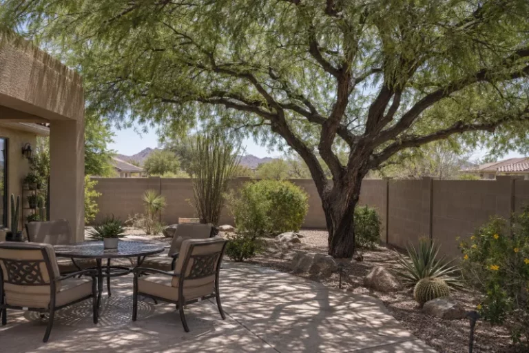 The Arizona Trees That Shade a West-Facing Wall by Next Summer