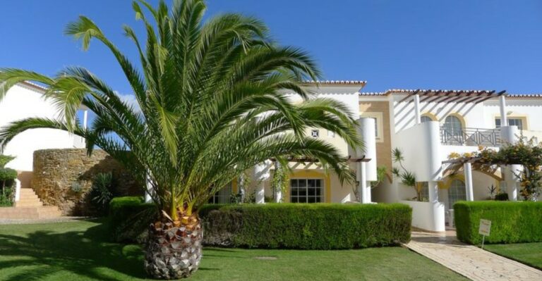 What Florida Palms Need In October Before Growth Slows Down