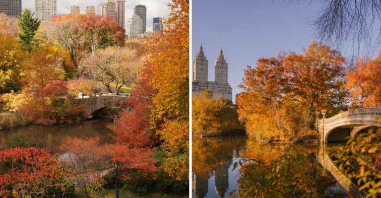The Central Park Fall Foliage Peak Date Every New Yorker Should Know