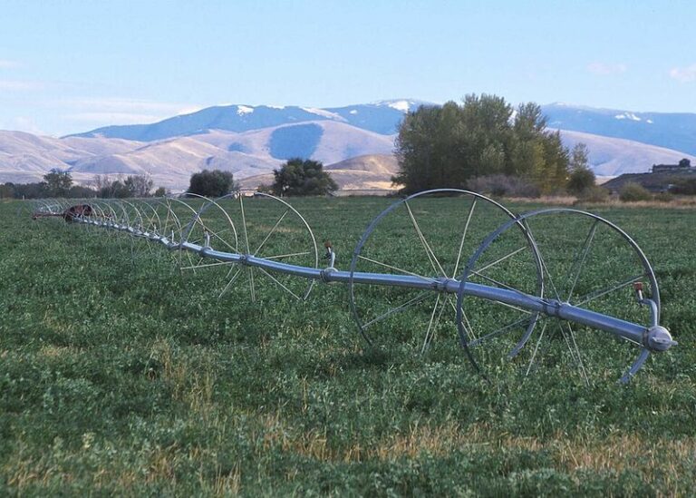 The Old Irrigation Line Buried In Your Arizona Yard Keeps Wasting Water Long After Everyone Forgot It