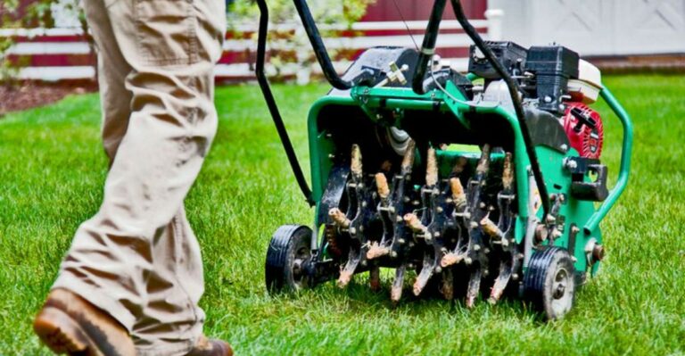 What St. Augustine Lawns Need In California After A Hot Summer
