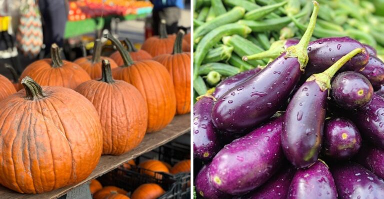 Texas Plants That Are Botanically Fruits But Everyone Thinks Of Them As Vegetables