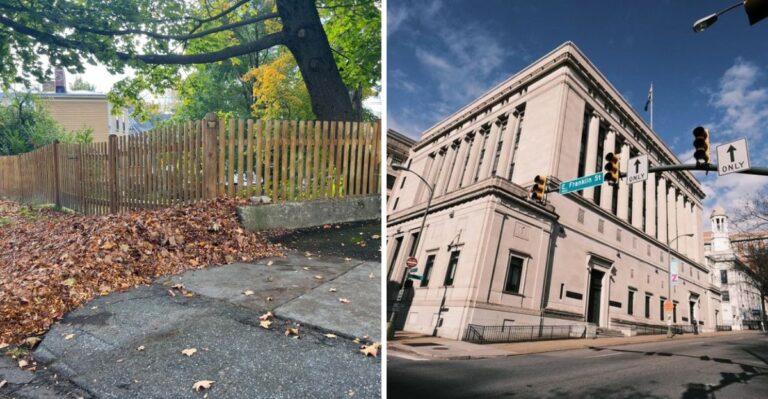 What Virginia Law Says About Leaves From Your Neighbor’s Tree