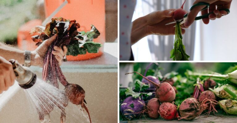 How To Store Beets So They Last All Winter