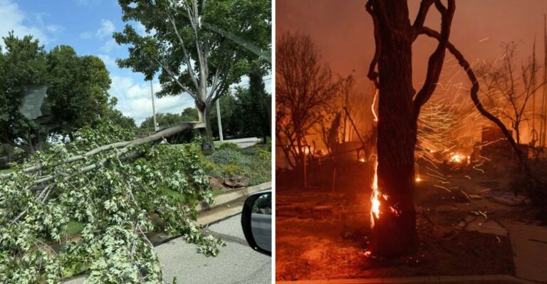 Why Diablo Winds Pose A Bigger Threat To California Gardens Than Many Homeowners Realize