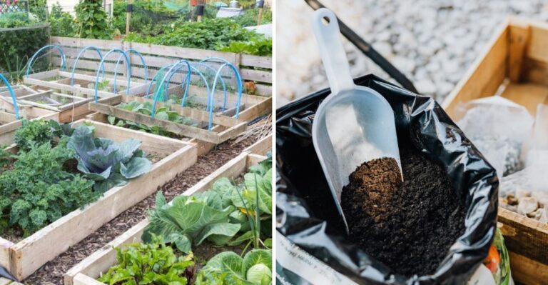 How To Plan Next Year’s Vegetable Garden Before A Pennsylvania Winter
