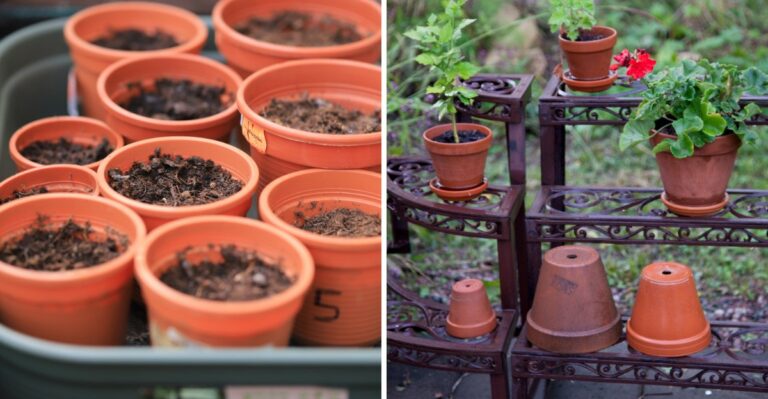 Why Grouping Your Pots Together Helps In A Texas Cold Snap
