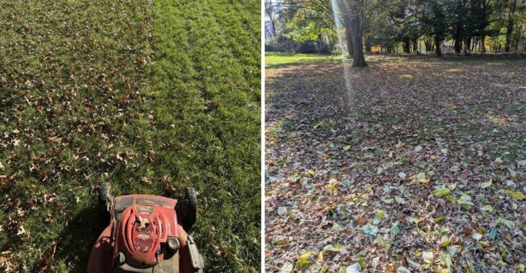 What Happens When You Mow Over Leaves On Your Pennsylvania Lawn