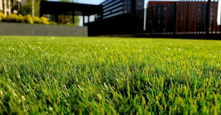 One Fall Task That Feeds Georgia Lawns Before The First Frost