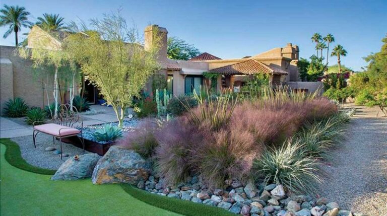 Pink Muhly: The Airy Fall Grass Phoenix and Tucson Yards Can Grow on Low Water