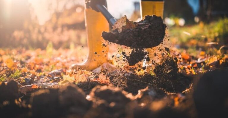 What Your Ohio Garden Soil Really Needs Before It Goes Dormant