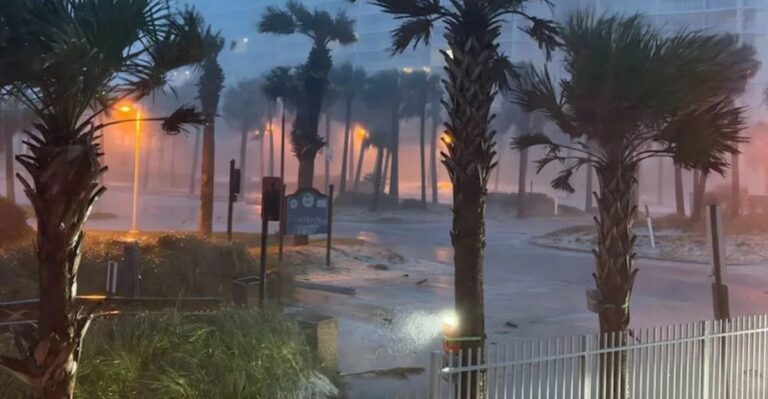 Hurricane Isaias Hit Florida: 7 Things Gardeners Should Check Before Saving Their Plants