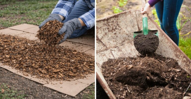 Why New York Gardeners Are Sheet Mulching Vegetable Beds Instead Of Tilling