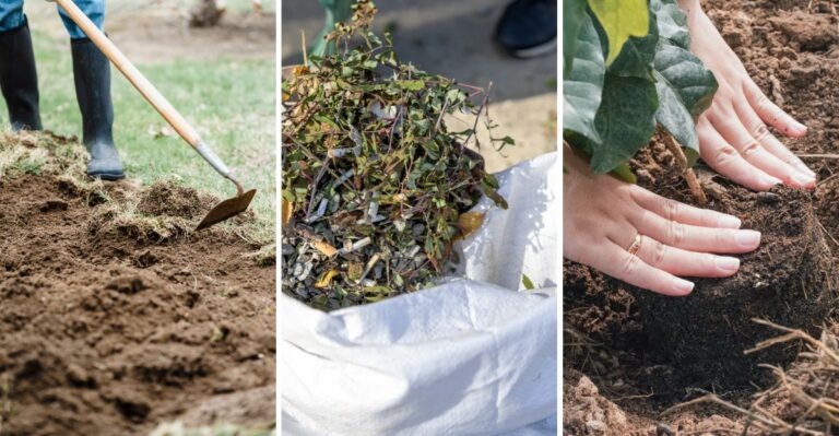 How To Repair What Alabama’s Hurricane Season Did To Your Garden This Fall