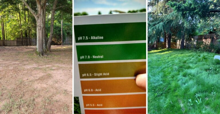 10 Fixes To Make When Aerating And Overseeding Didn’t Fill Your New York Lawn Patches