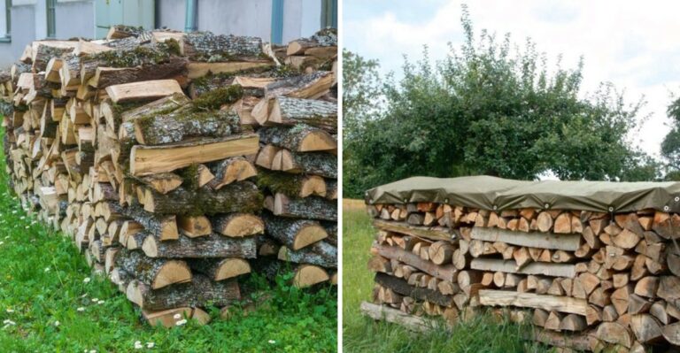 7 Firewood Mistakes That Bring Pests Into Pennsylvania Homes