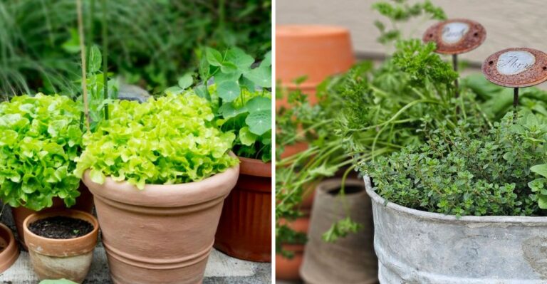 What Every Pennsylvania Gardener Should Plant In Containers Before The First Frost
