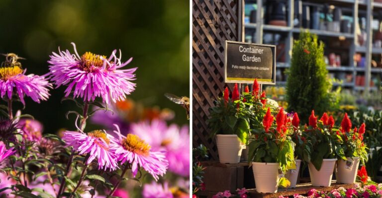 10 Native Plants Everyone’s Planting This Fall (And Why You Should Too)