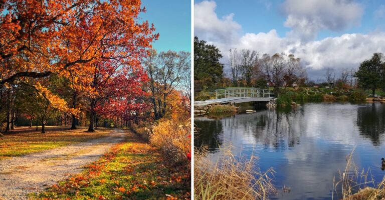The Free Ohio Arboretums Worth The Drive For Peak Fall Color