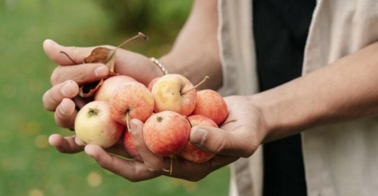 How To Get More From Late Apples On New York Trees Before The Season Ends